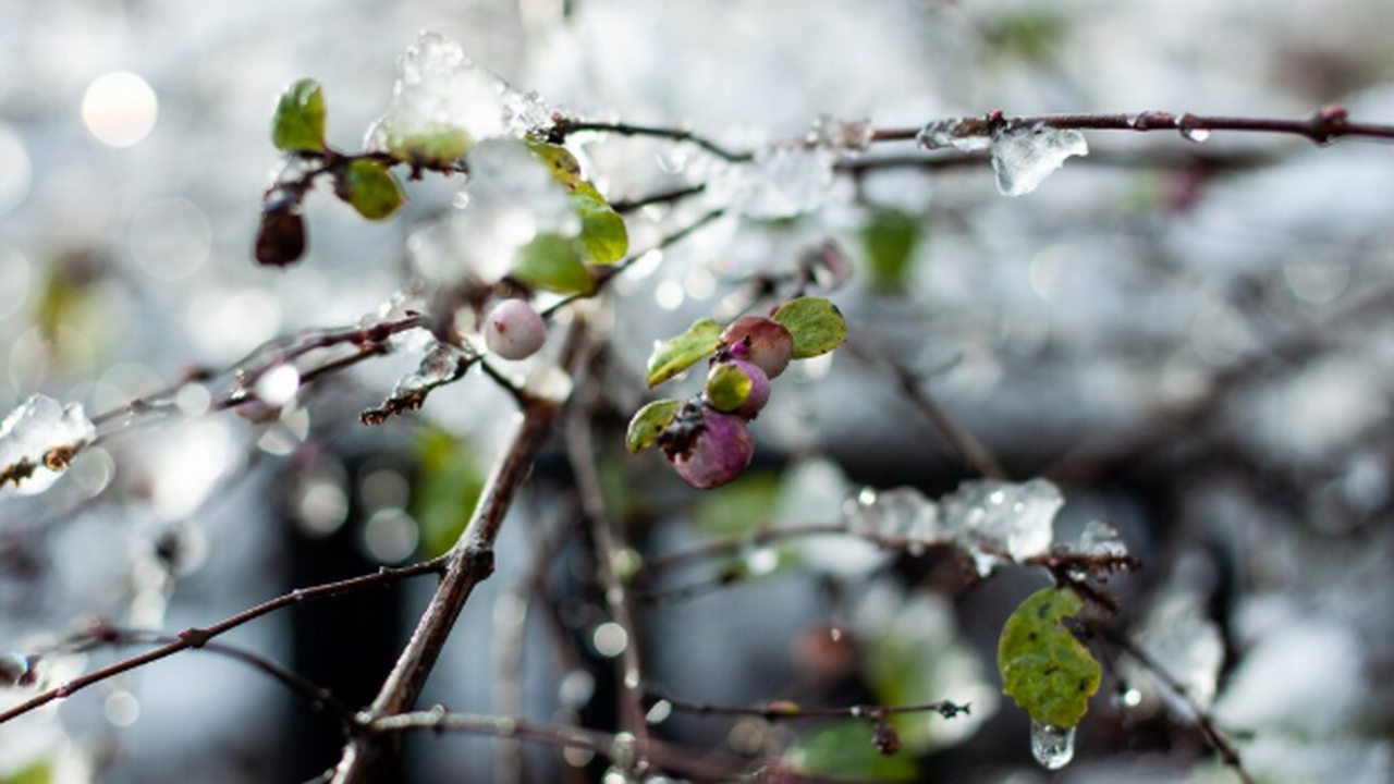 К концу осени мы привычно готовимся к серым дня...