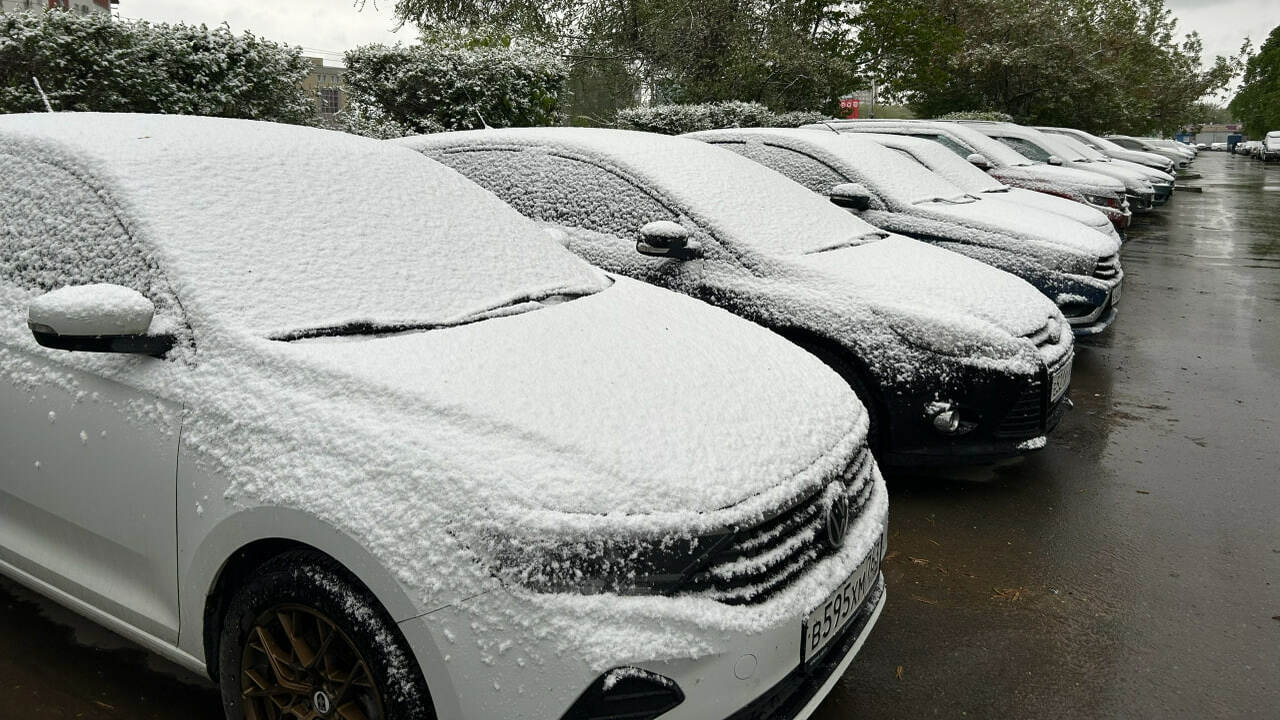 Мокрый снег и дожди накроют Самарскую область в начале ноября Приволжское УГМС предупреждает: 1 ноября в Сама...