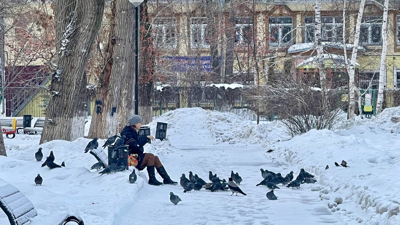 Этой зимой россиян ожидает необычная и аномальн...