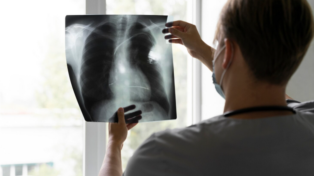 Группа ученых представила уникальную модель чел...