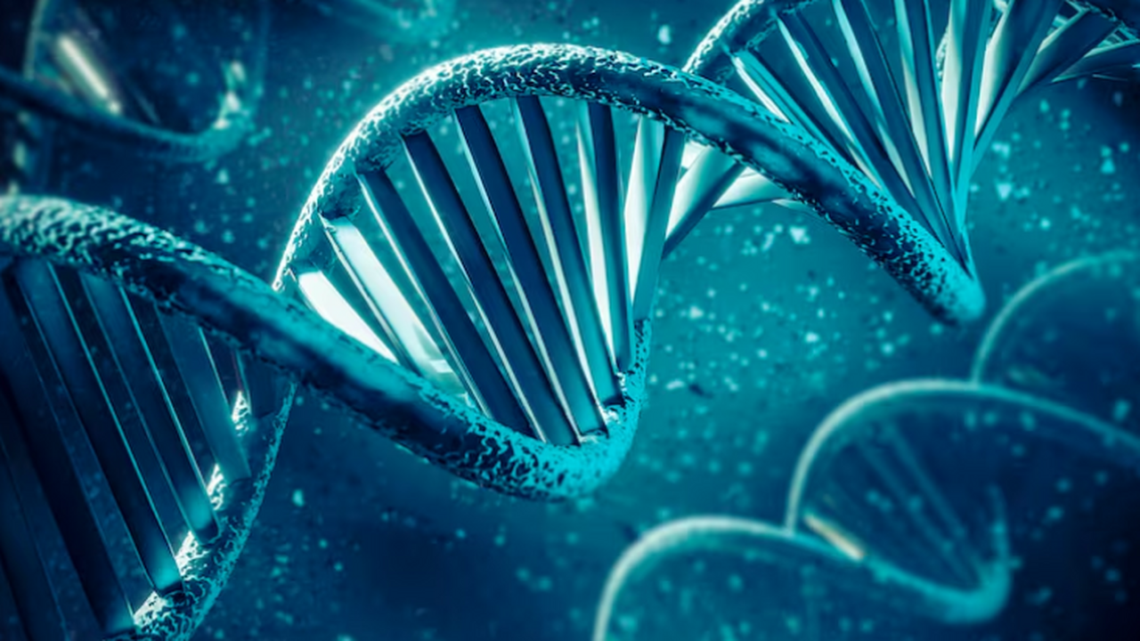 Выявлены различия в генетической защите от язвенного колита у этносов РФ Исследование Genotek показало, что генетическая...