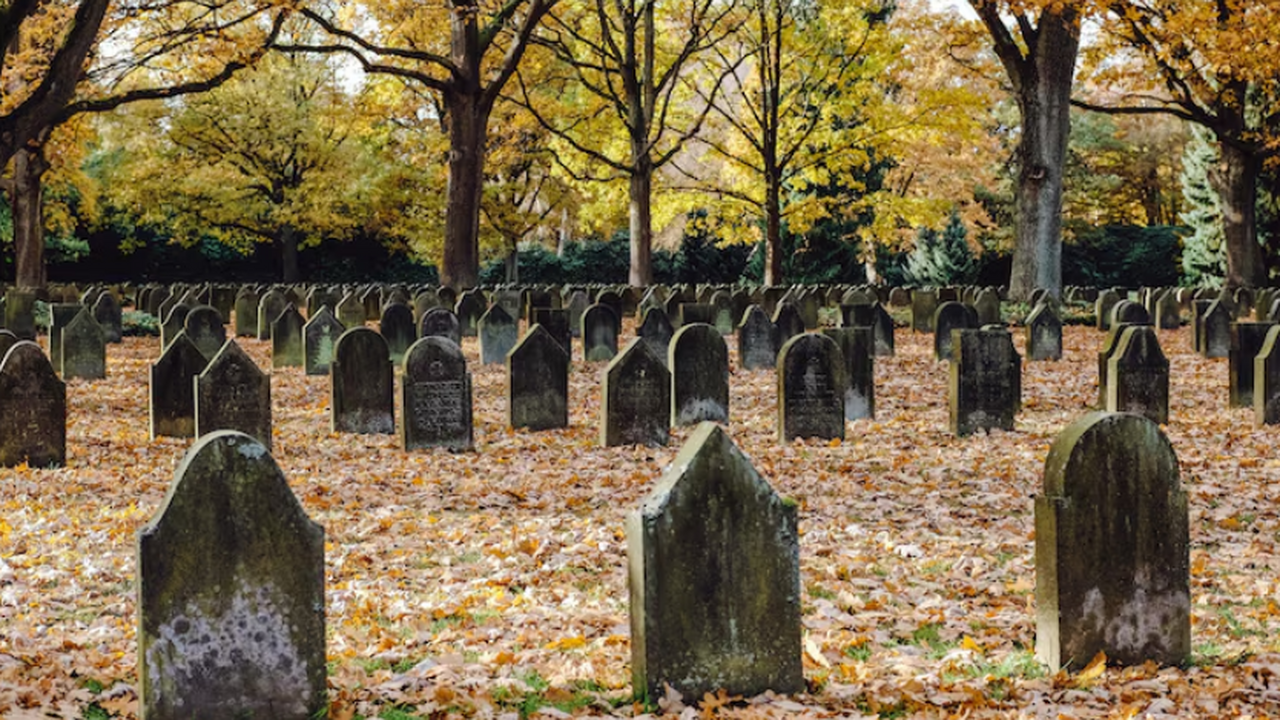 Исследователи из Университета Южной Флориды изу...