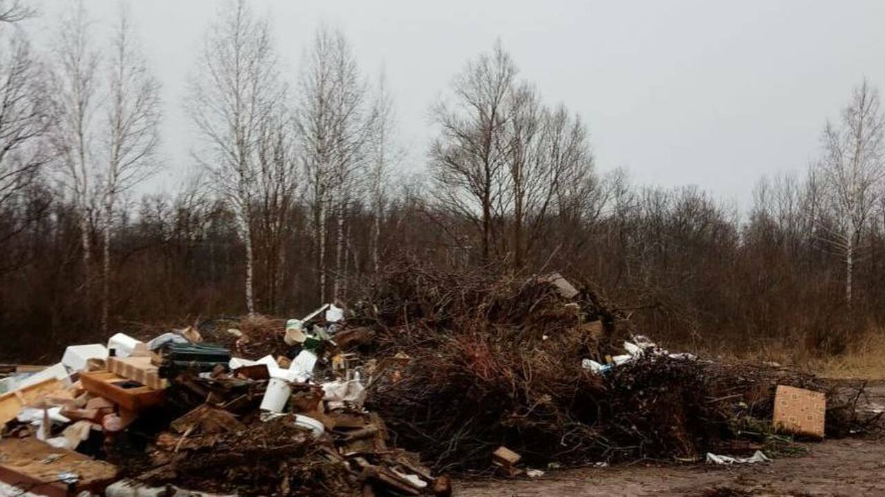 В селе Шентала по требованию прокурора ликвидировали стихийную свалку отходов Принятые меры прокурорского реагирования оказал...