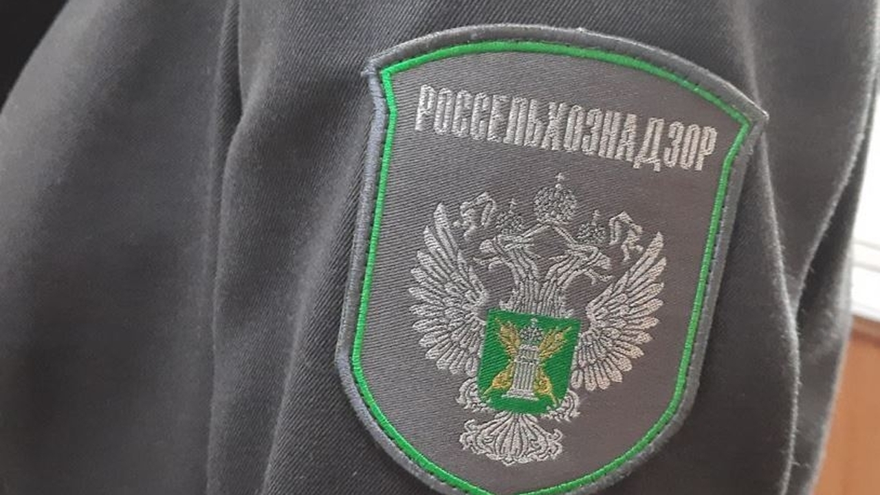 В Самарской области задержали 46 кг продуктов без маркировки Товары задержали в соответствии с требованиями ...