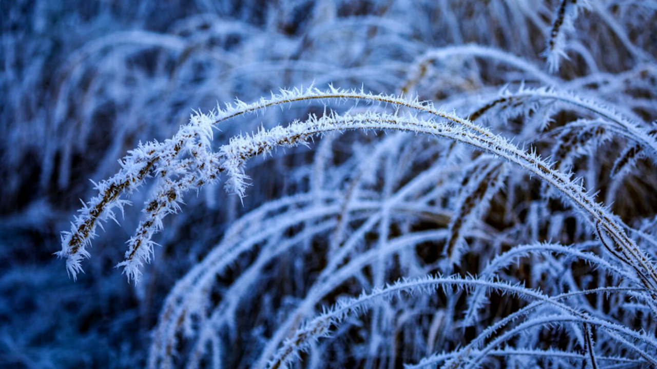 Ряд регионов России на предстоящей неделе столк...