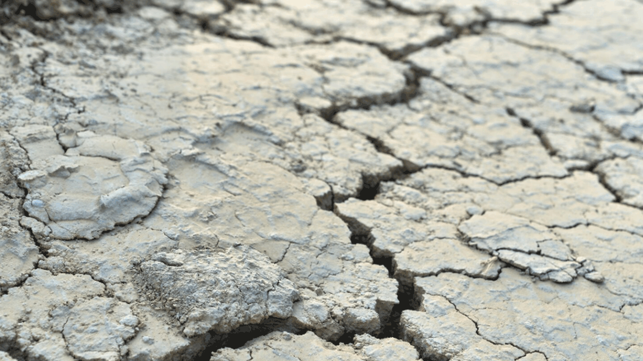 Исследование UCL в Nature Communications показа...