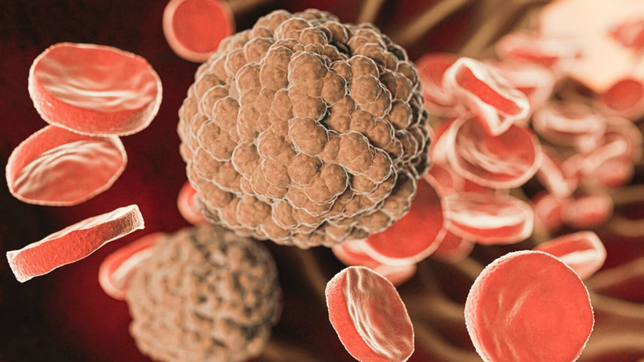 Первая фаза генной терапии для снижения холестерина показала успешные результаты Китайские исследователи завершили первый этап и...