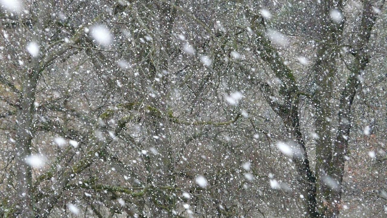 УГМС объявило оранжевый уровень погодной опасности