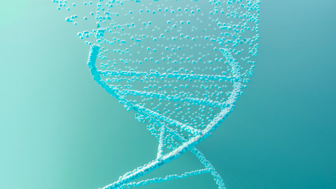 Ученые Сеченовского университета предложили био...