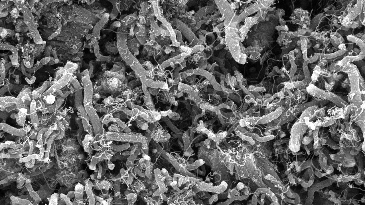 Студент СамГТУ получил федеральный грант "Студе...