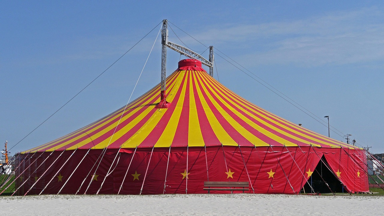 Цирк-шапито получил предостережение за нарушение в Самаре Владелец цирка не сообщил ведомству о гастролях...