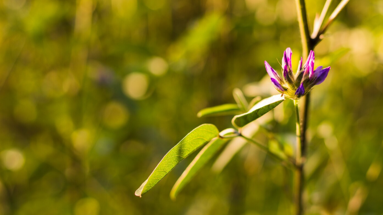 Ученые показали, что генетические следы прошлых...