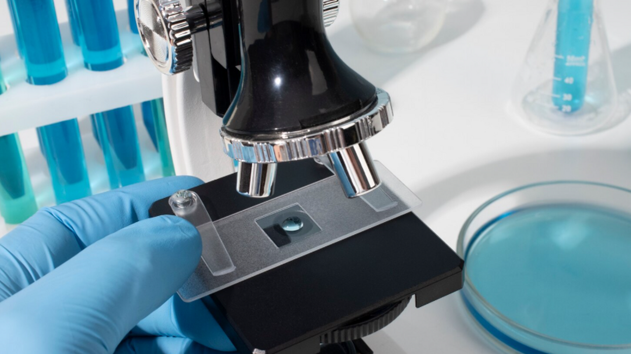 Ученые представили «виртуальный» микроскоп без ...