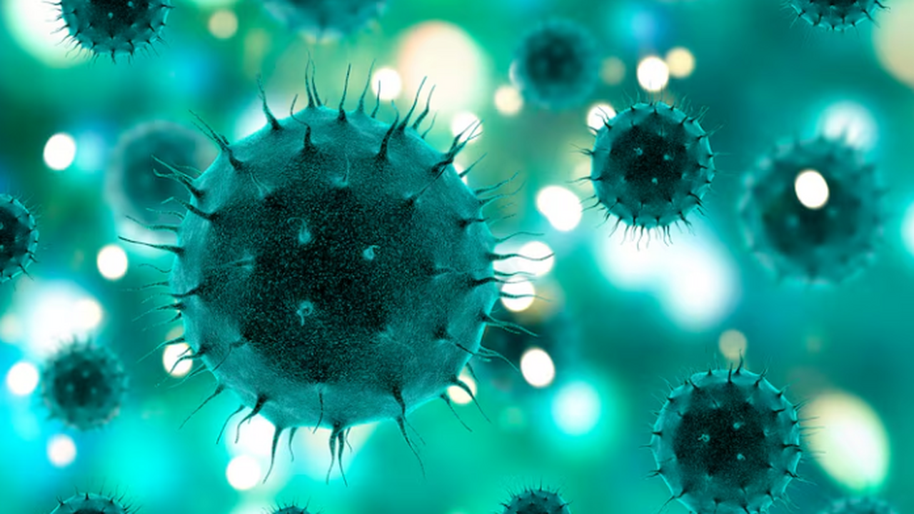 Cell: зоонозные вирусы могут заражать людей без предварительных мутаций Анализ, опубликованный в Cell, демонстрирует, ч...