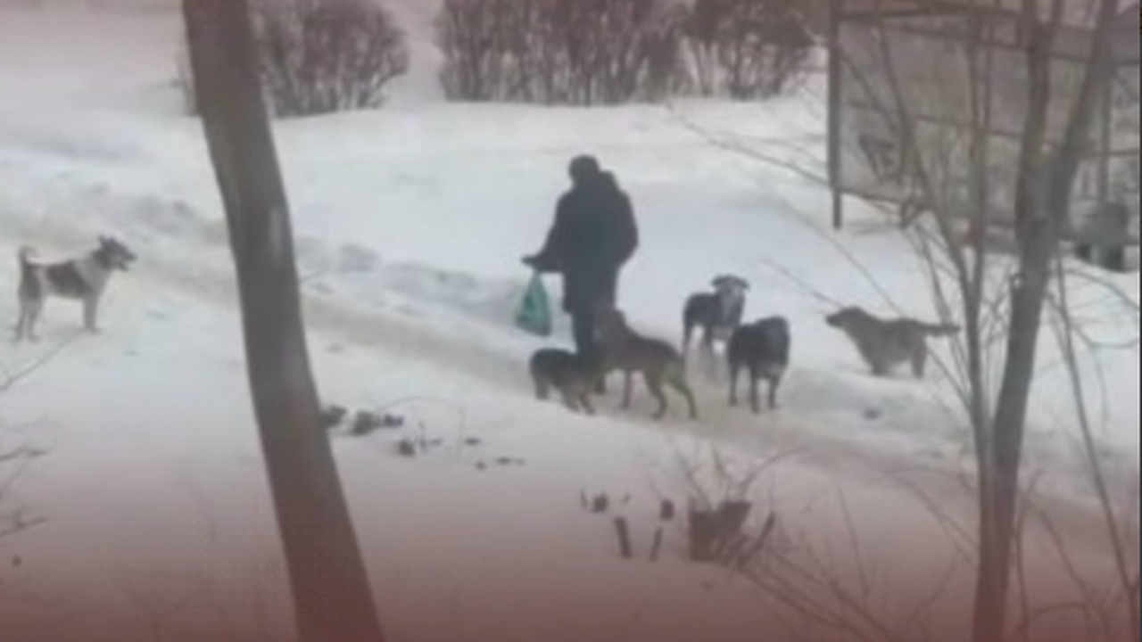 Следственными органами возбуждено дело по ст. 2...