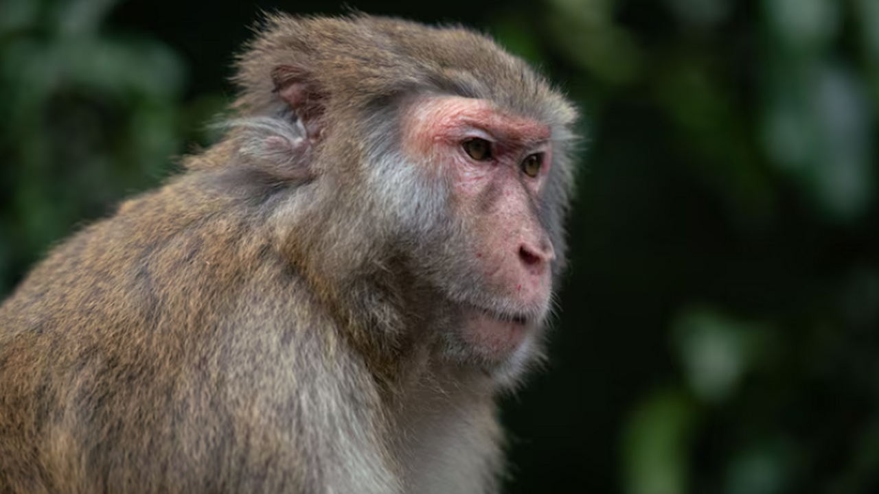 Геннадий Онищенко сообщил о вероятности новых с...