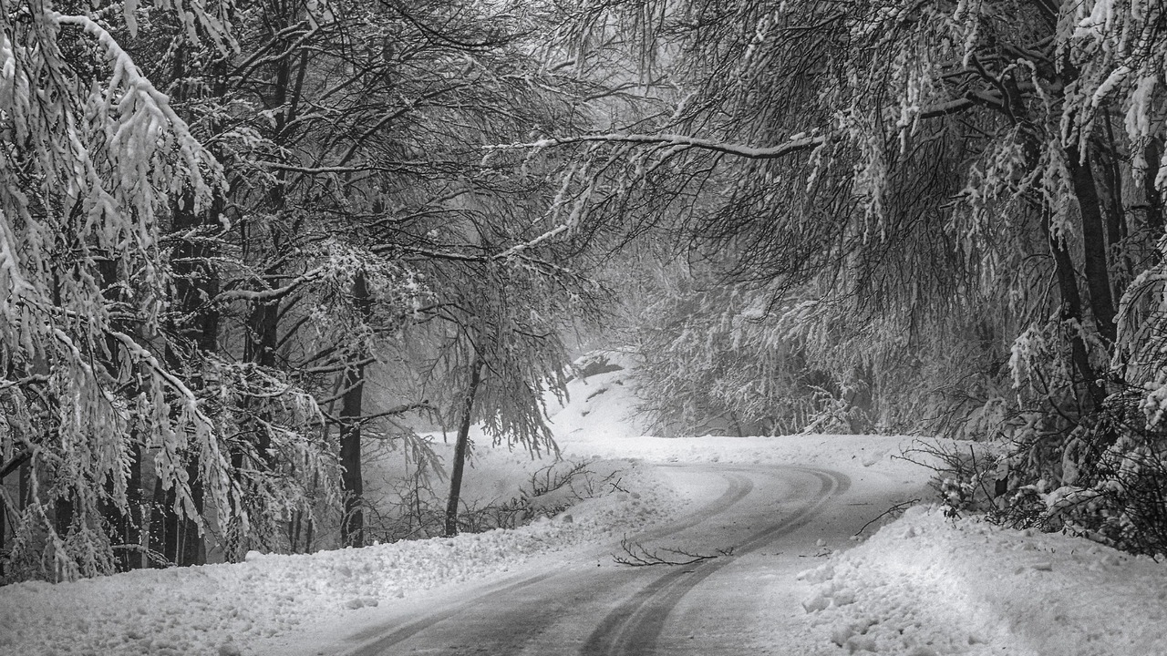 В начале недели в область будут поступать более...
