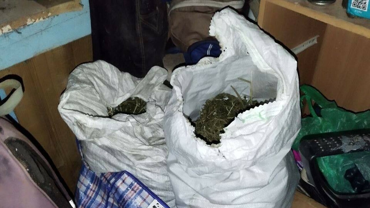 Общее количество изъятого составила около 3,5 к...