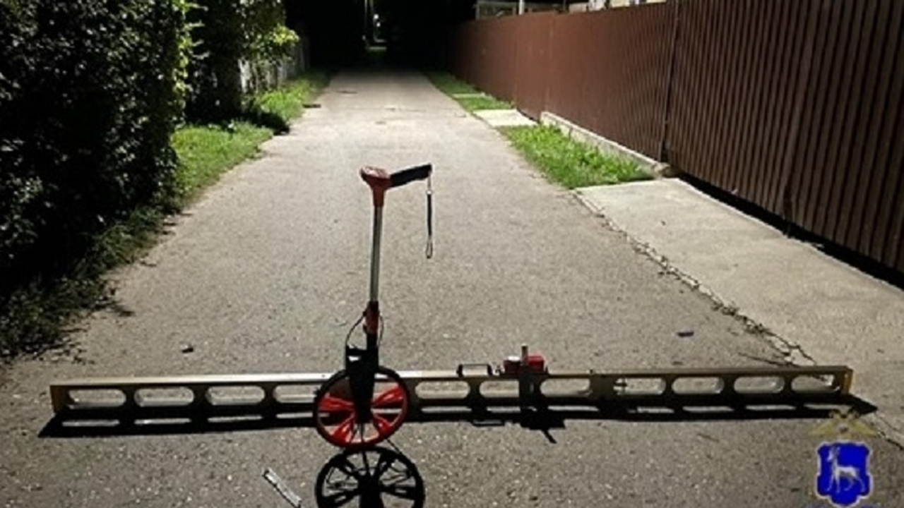 Под Тольятти водитель «Мерседеса» наехал на люд...