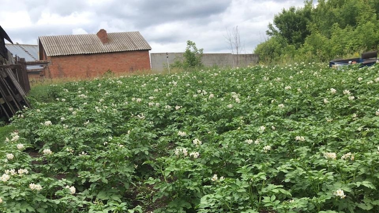 Разбираемся, какие строения попадут под налогоо...