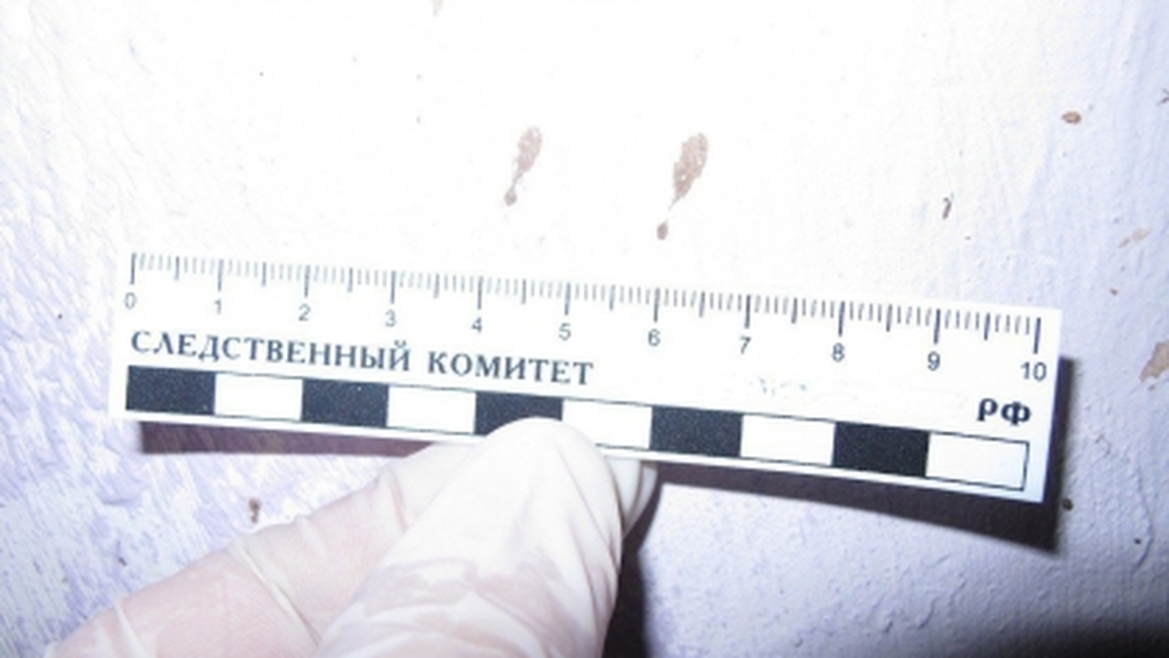 Суровый приговор: в Самарской области мужчина получил 18 лет лишения свободы за убийство бабушки 48-летний мужчина нанес своей жертве 36 ударов