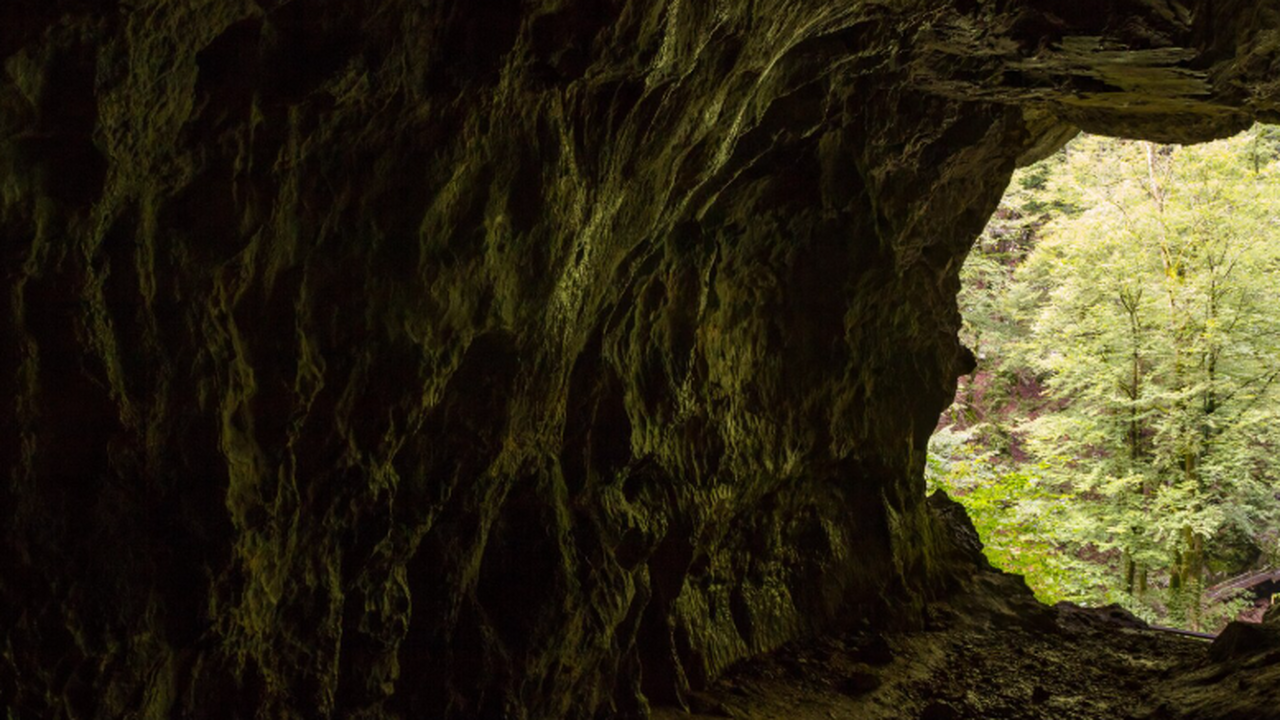 В пещере Хеннинг Вуд археологи нашли останки во...