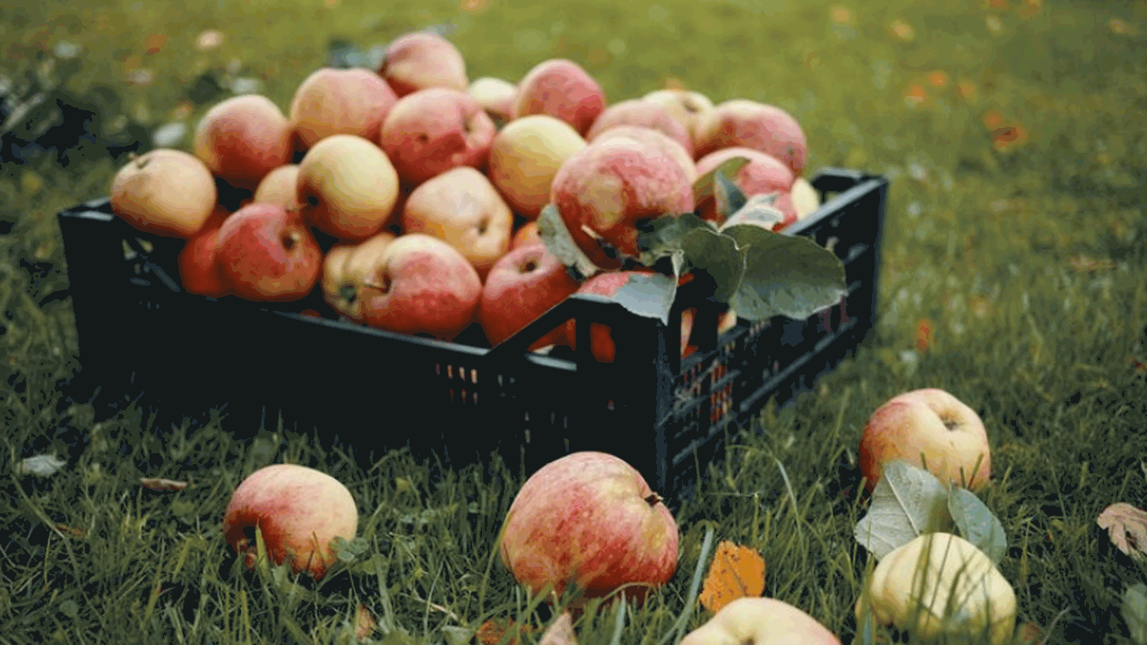 Исследование Current Biology показало, что совр...