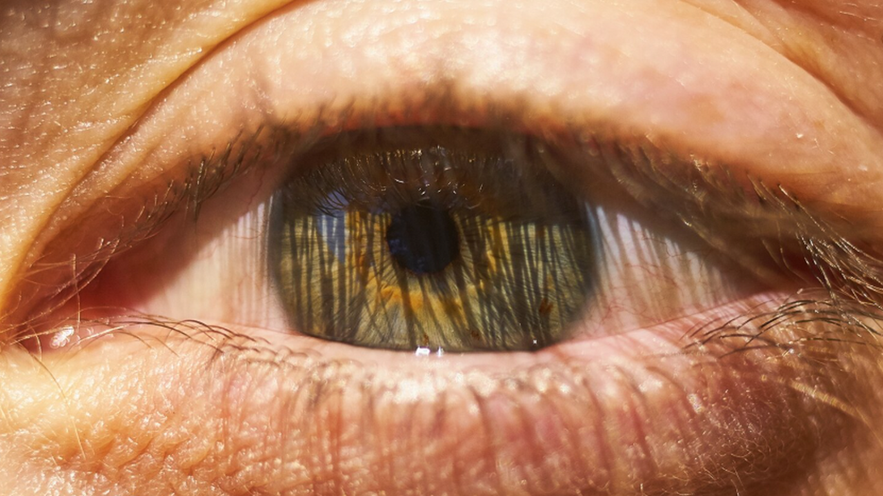 Учёные заявили о первом клиническом случае успе...