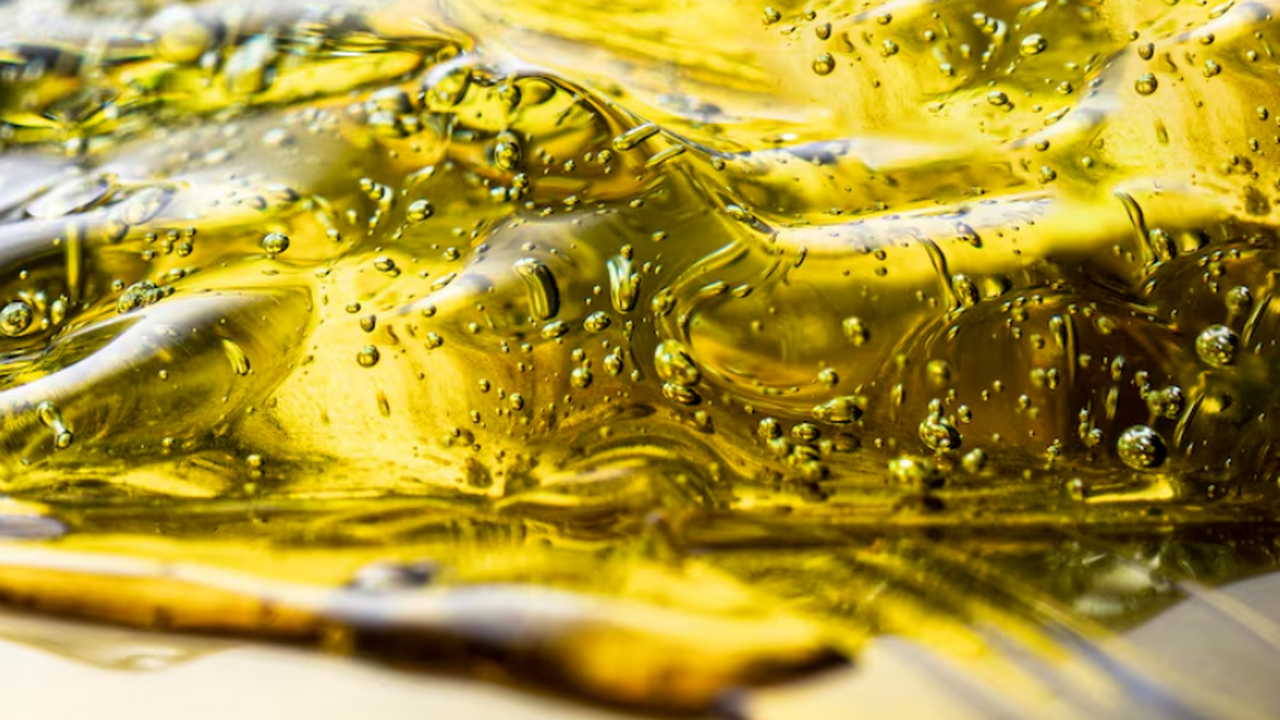 Исследование выявило тревожную особенность паль...