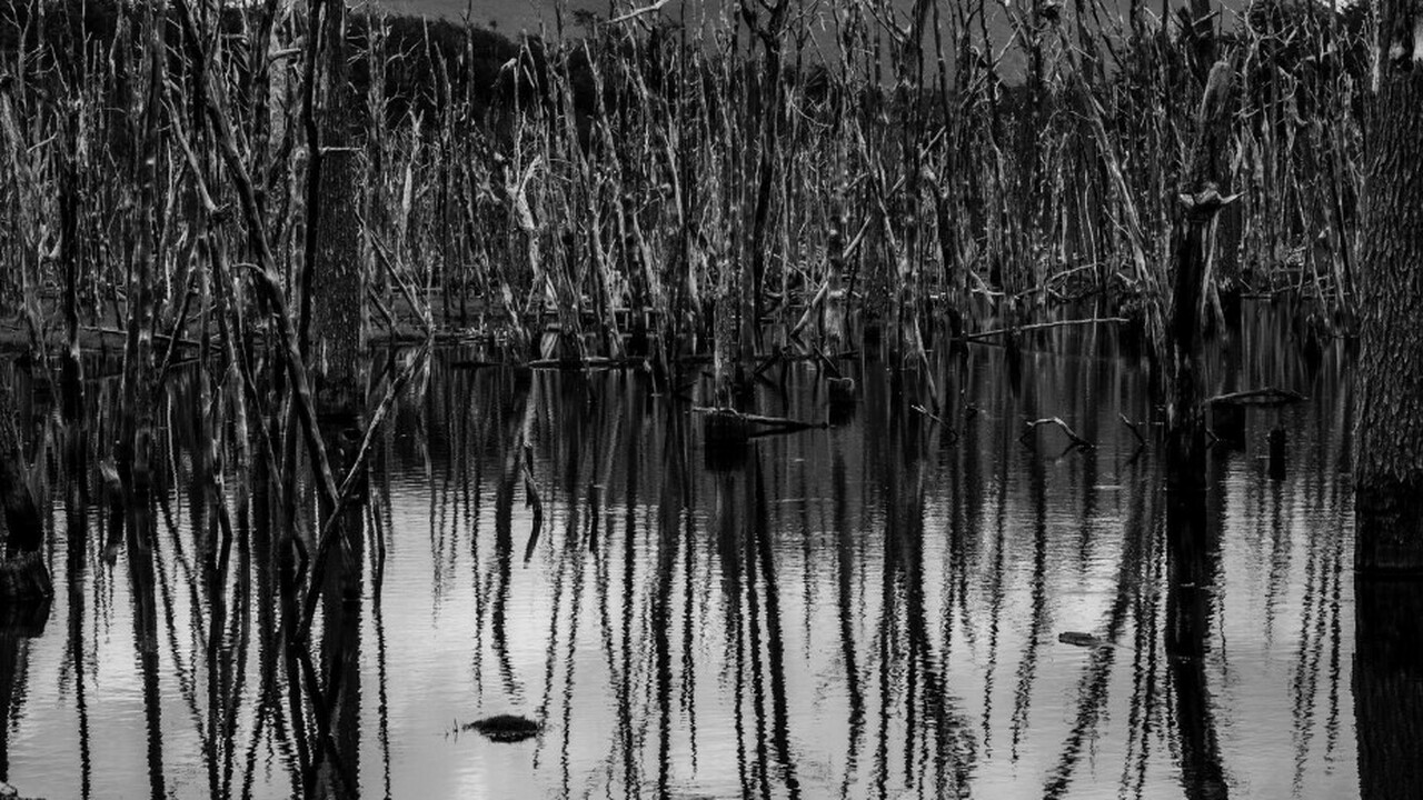 В Самаре намерены устранить мазутные озера В Самаре продолжаются работы по устранению посл...