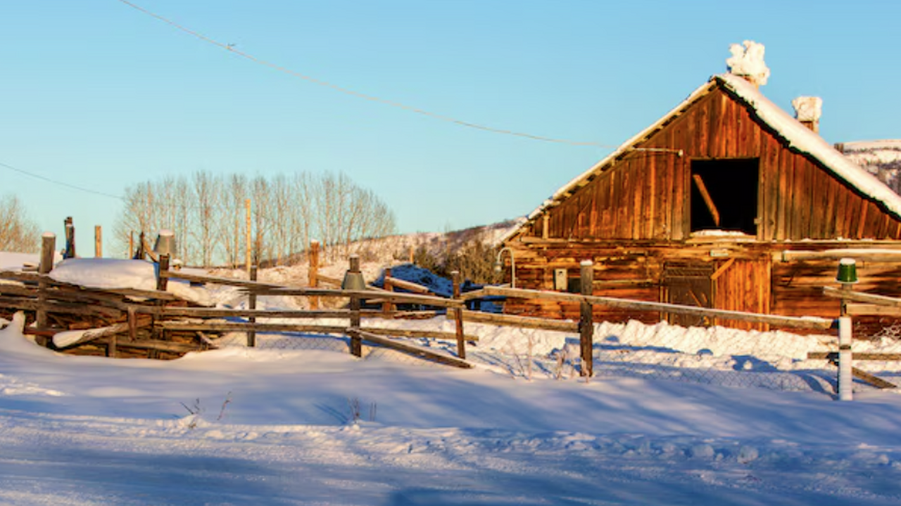В Самарской области зафиксированы вспышки бешен...