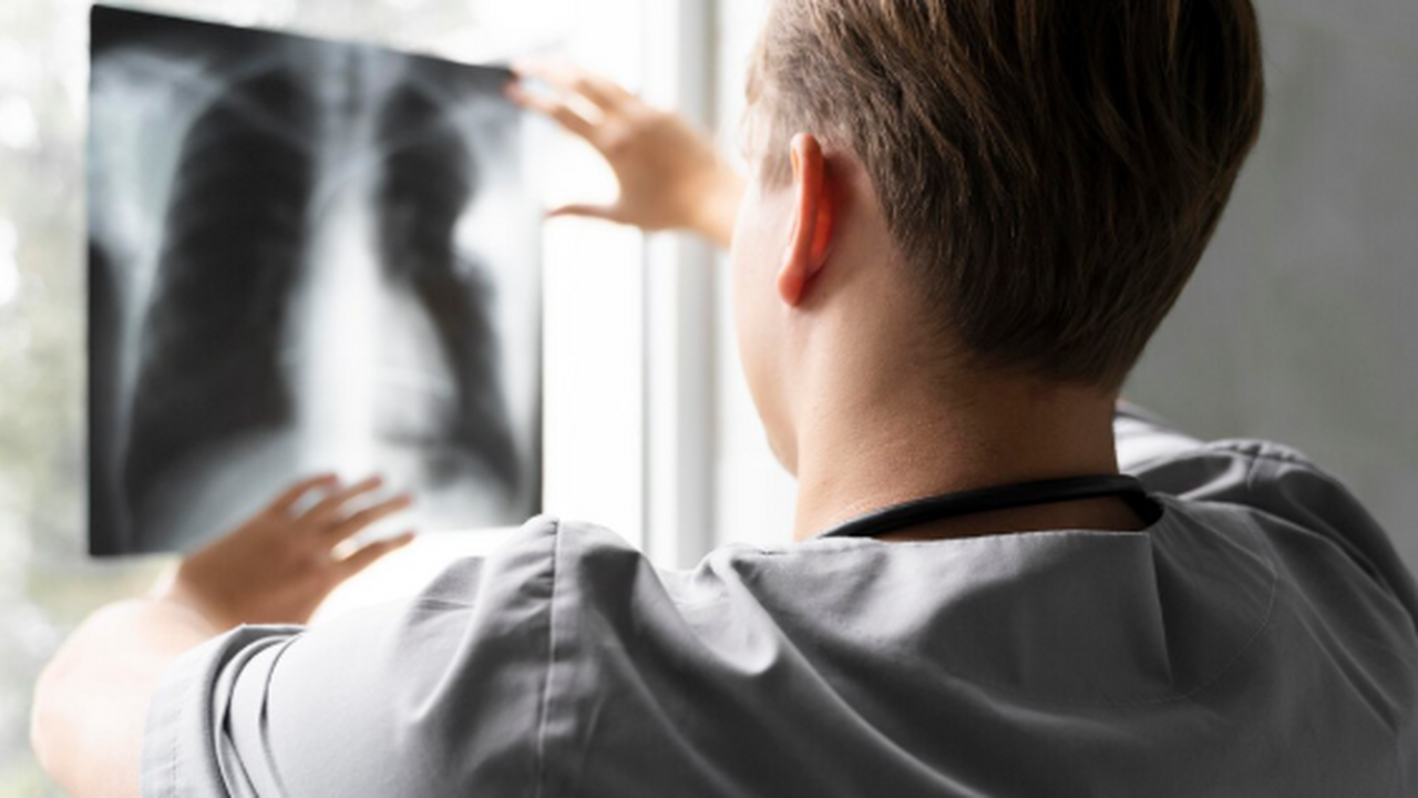 Ученые Южного федерального университета разрабо...