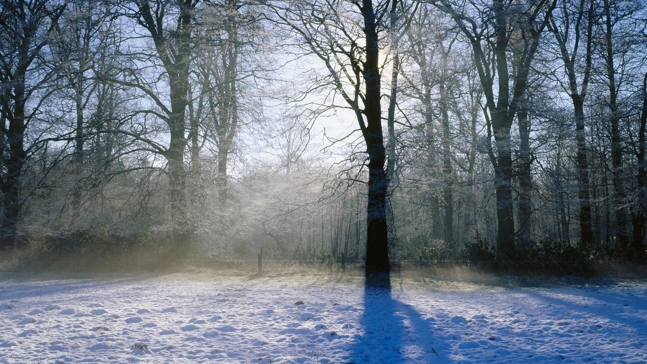 Арбитражный суд Самарской области удовлетворил ...