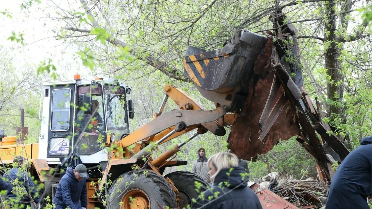 Подрядчики вместо выкорчевывания применили спец...