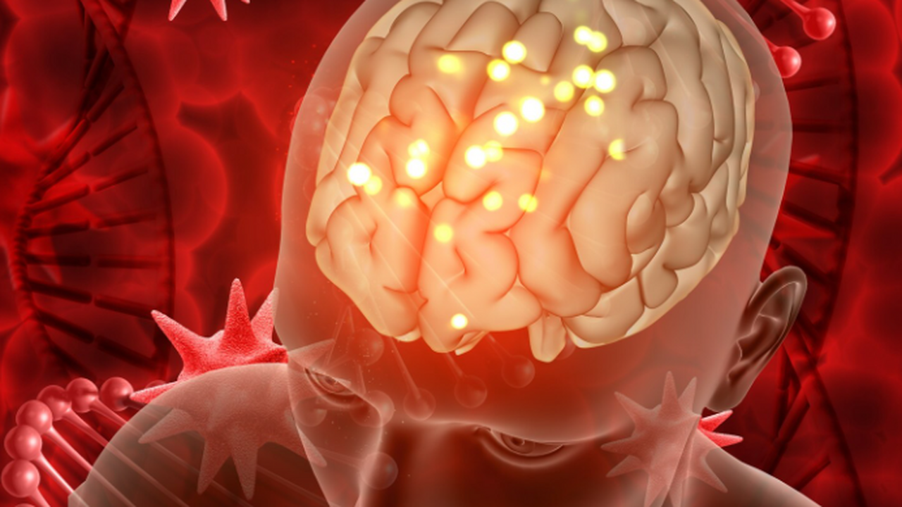 Кембриджское исследование: мозг человека проход...