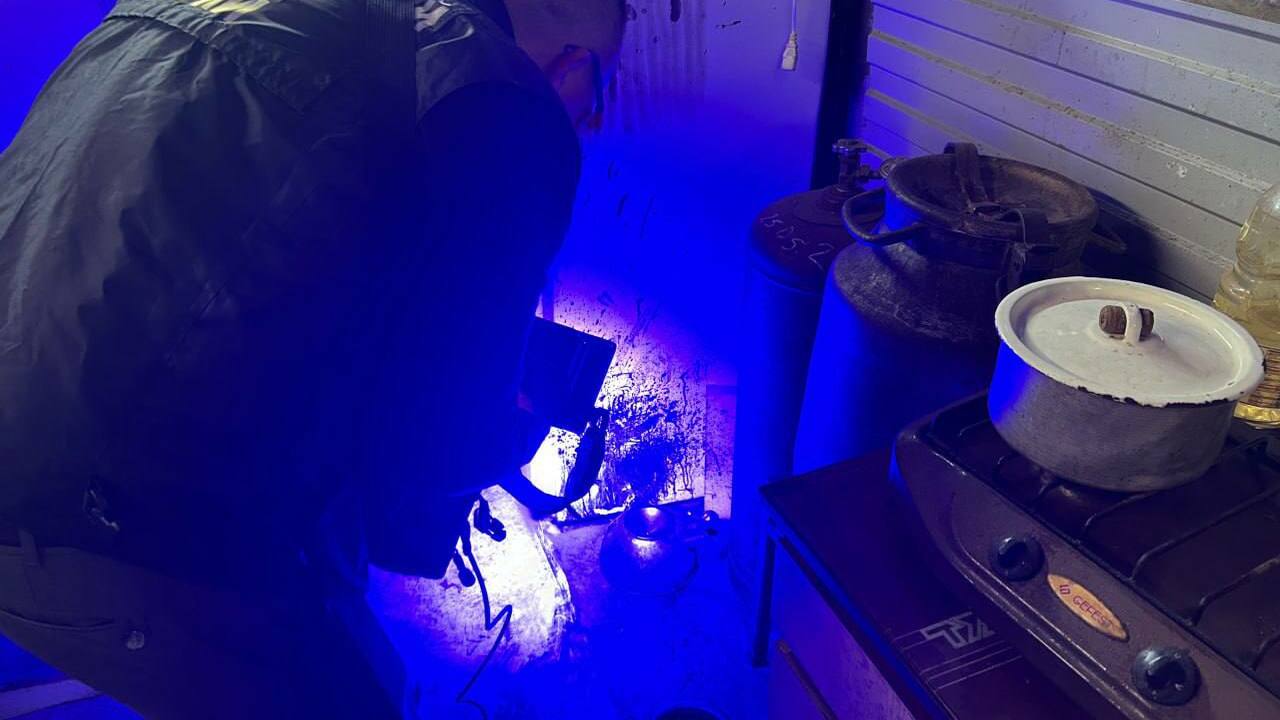 Следственная группа продолжает активную работу ...