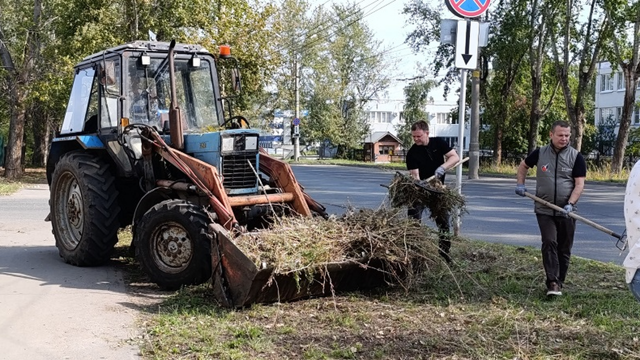 В Тольятти после жалоб провели покос травы на с...