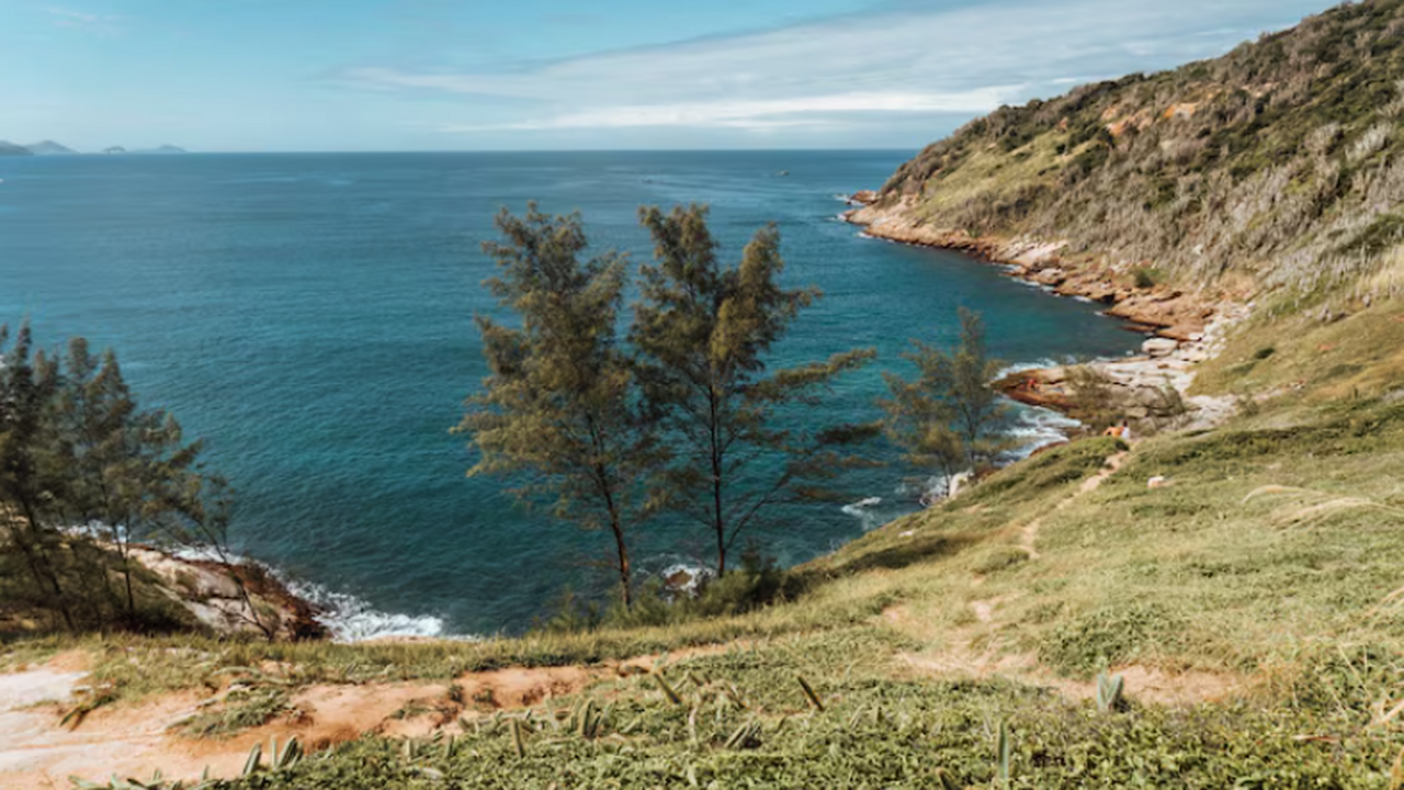 Дальневосточный федеральный университет создал ...