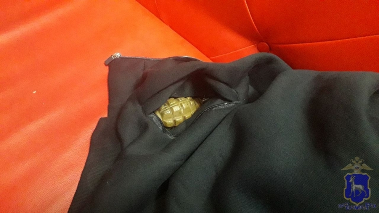 Продавец гранаты утверждал, что она предназначе...