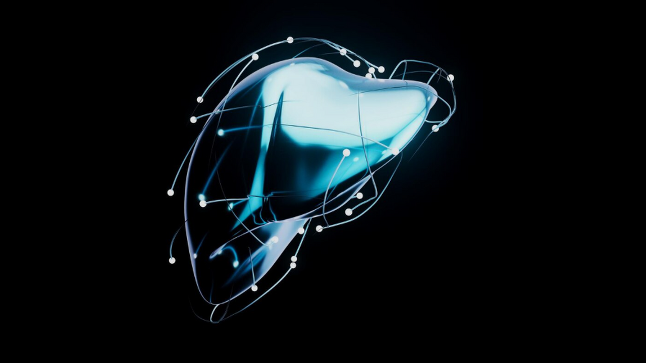 Квислендские учёные выяснили, что несоблюдение ...