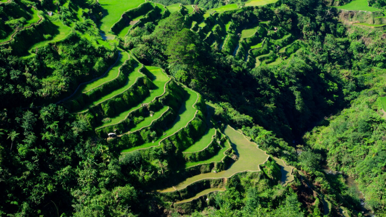 Вьетнам стал лидером по росту турпотока из Росс...