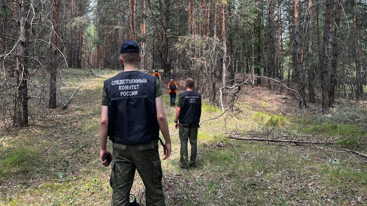 Девочку обнаружили живой, угрозы ее жизни и здо...