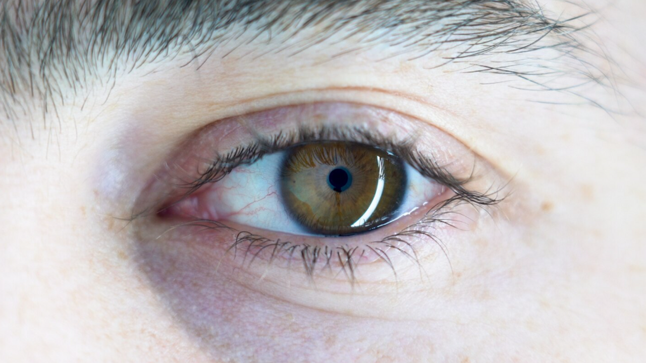 Ученые из России разработали метод исправления ...