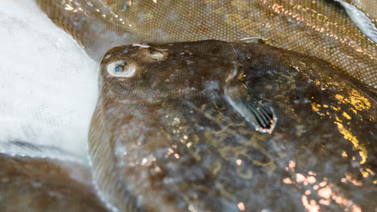 Череповецкие учёные создали технологию, которая...