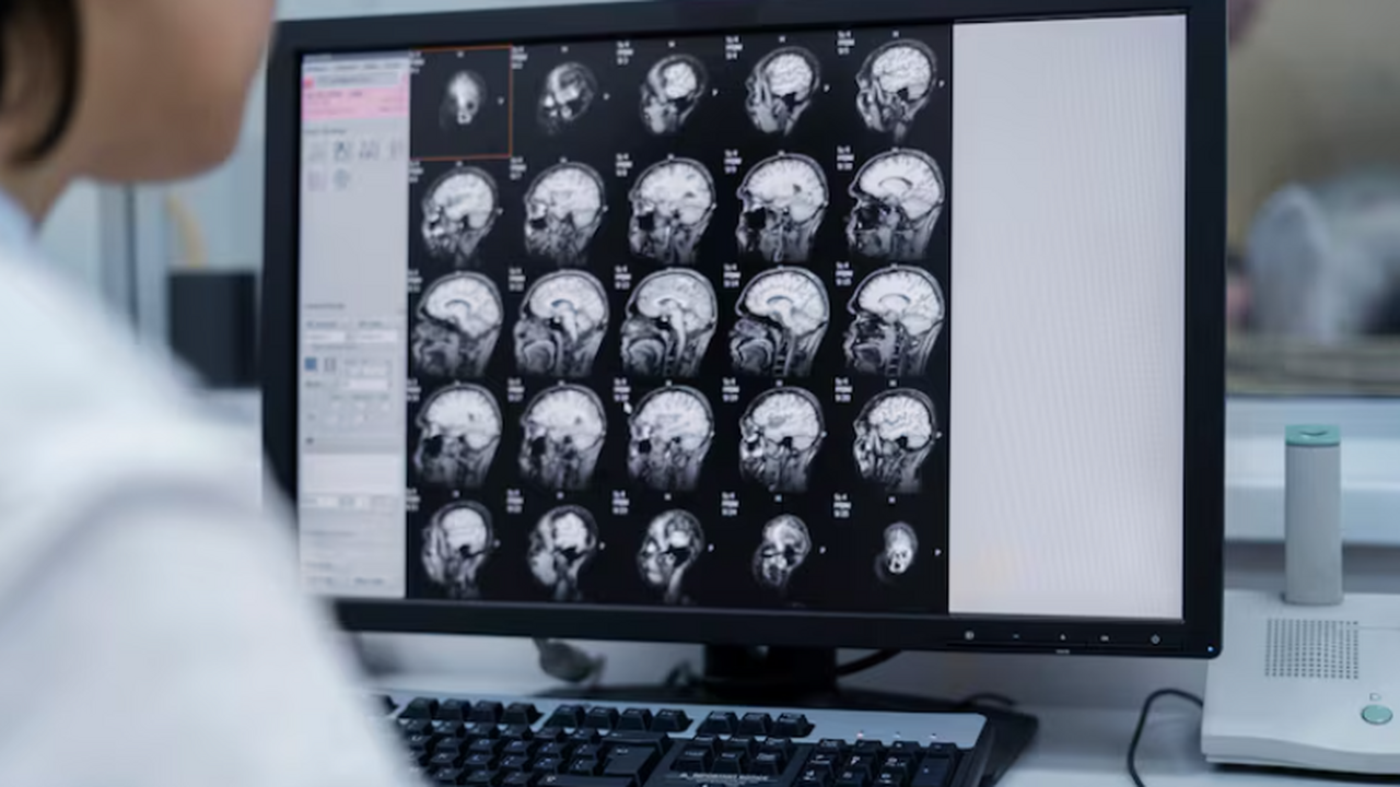 Учёные Университета Уейк-Форест создали иммунот...