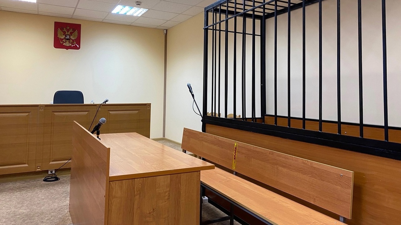 Подсудимая путем обмана забирала товары, принад...