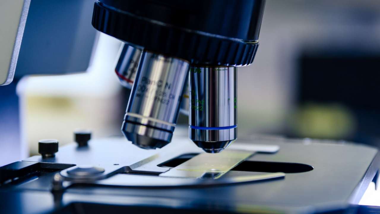 Учёные показали: часть стентов можно контролировать через кожу без катетера Ранее для детальной оценки стентов применяли фо...