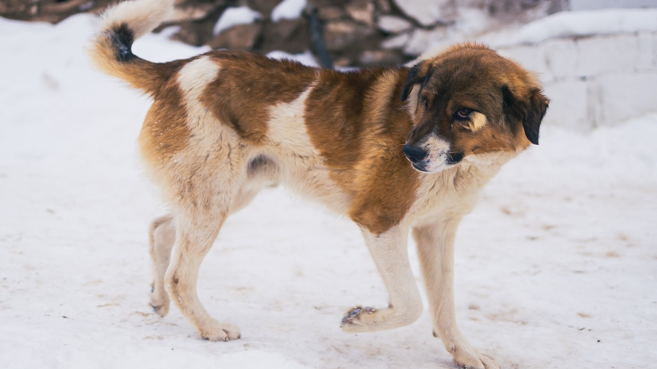 Выплаты компенсации добилась прокуратура
