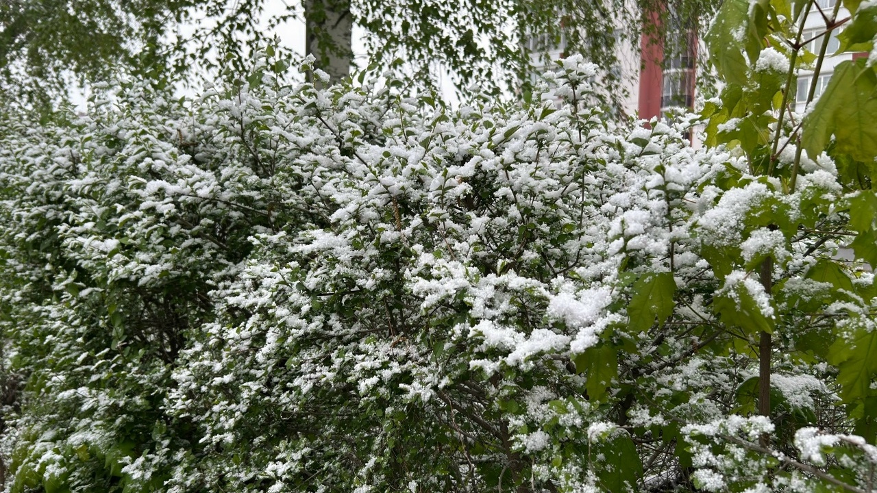 Со второй половины недели температура будет пос...