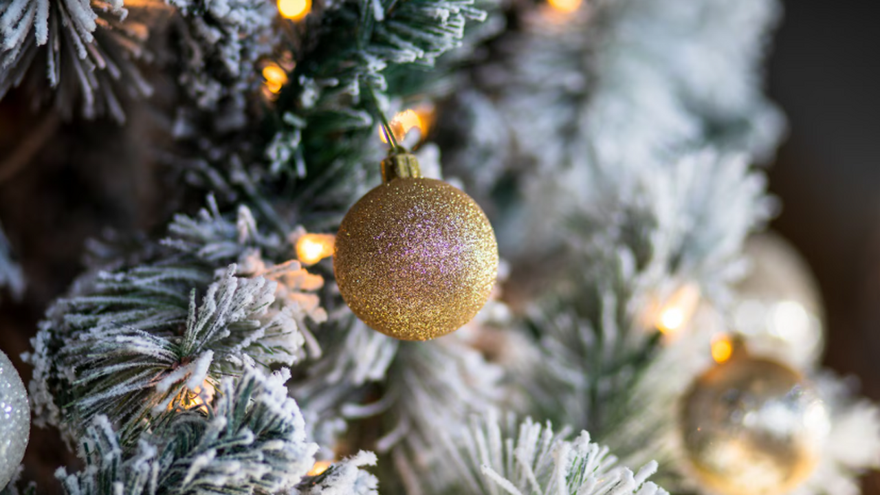 Как мошенники могут испортить ваш новогодний отдых онлайн Новогодние каникулы — пик спроса на путешествия...